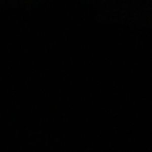 Meet your Posher, Bob